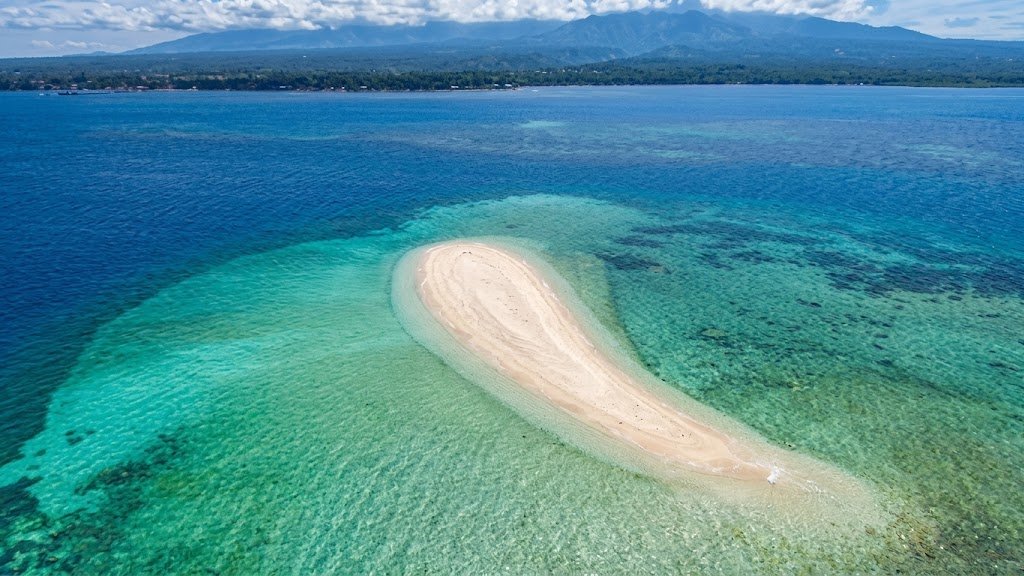Sperm Island