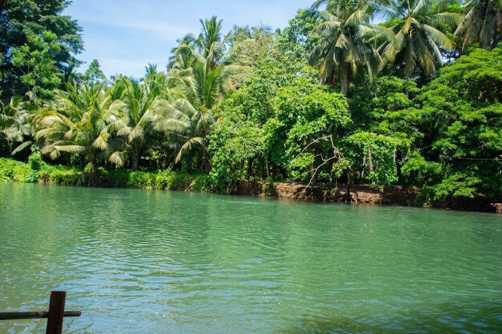Tampi-Saw Riverside River Resort